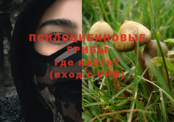 ECSTASY Абаза