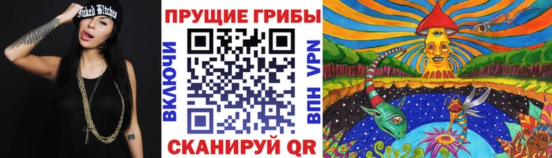 где купить наркоту Трубчевск Галлюциногенные грибы ЛСД